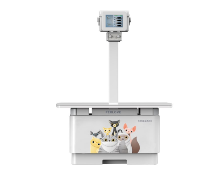 影響寵物DR影像質量的動物和人為因素有哪些?